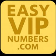 Easy VIP Numbers logo